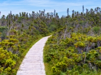 Park Narodowy Gros Morne